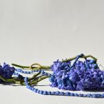 hyacinth blue-Corry Zwart